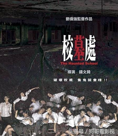 慢热型候鸟航线